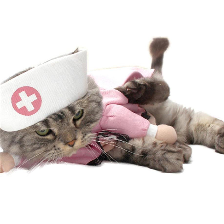 Nurse cat outlet costume