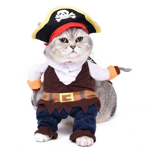 Kittenswear | Pirate Cat Costume 