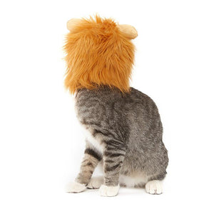 Lion Hair Costume For Cats