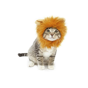 Lion Hair Costume For Cats